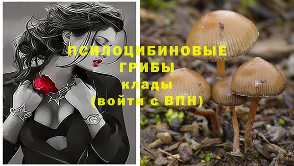 гашиш Алексеевка