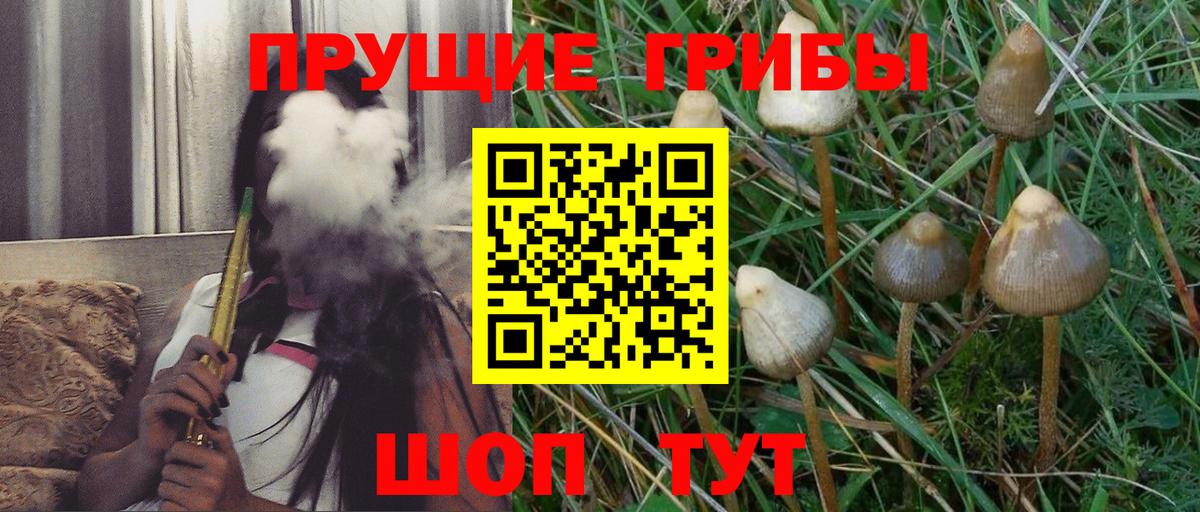 Псилоцибиновые грибы прущие грибы Салават