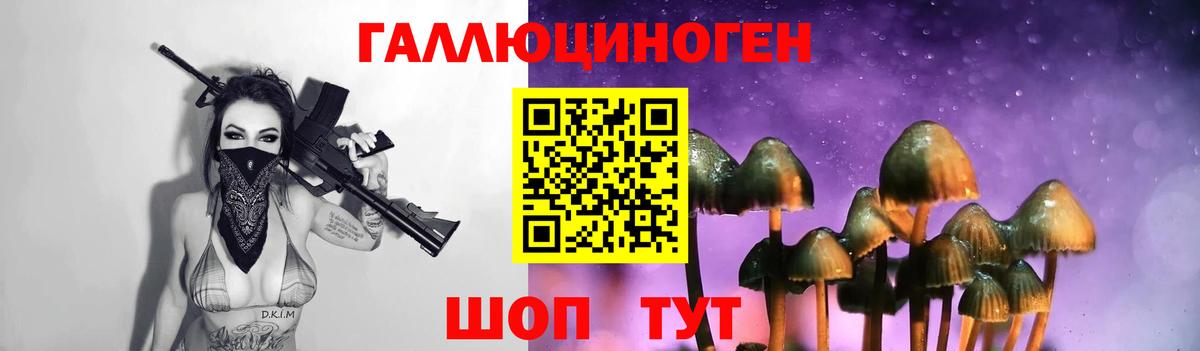 Салават  Галлюциногенные грибы MAGIC MUSHROOMS  закладка  Вход с VPN 